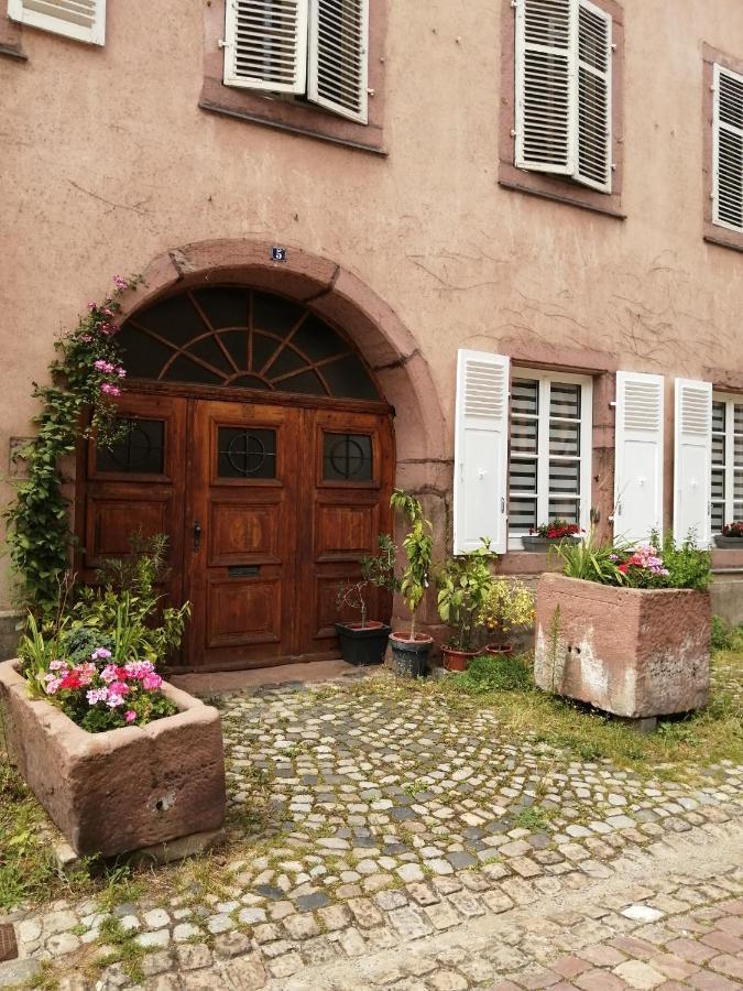 Gite Le Patio Kaysersberg-Vignoble Exterior foto